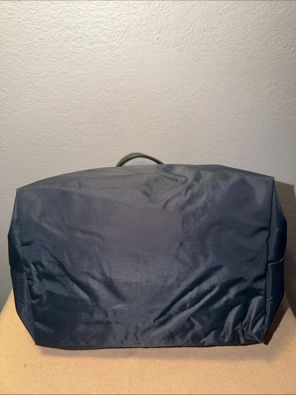 Longchamp Purple Embroidered Patches Nylon and Leather Le Pliage Tote